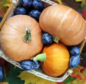 Blueberry Pumpkin